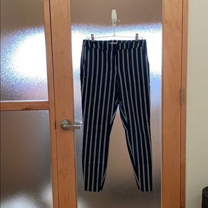 Dress Pants
